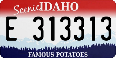 ID license plate E313313