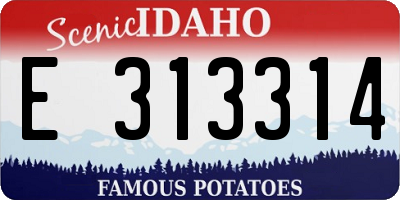 ID license plate E313314
