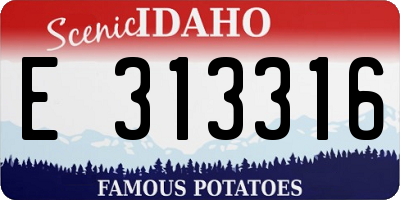 ID license plate E313316