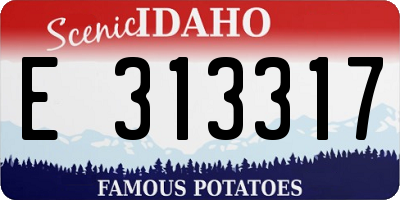 ID license plate E313317