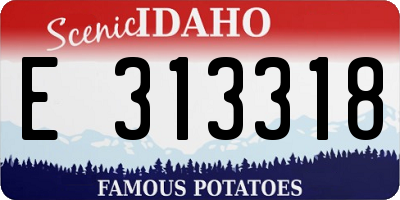 ID license plate E313318