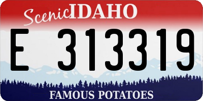 ID license plate E313319