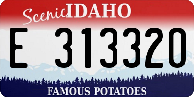 ID license plate E313320