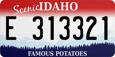 ID license plate E313321