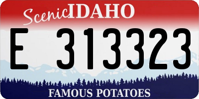 ID license plate E313323