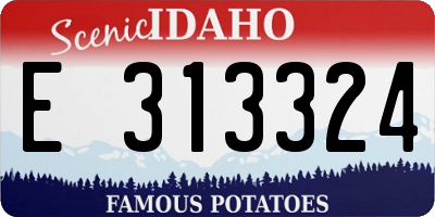 ID license plate E313324