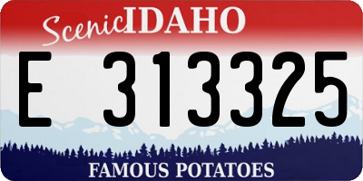 ID license plate E313325