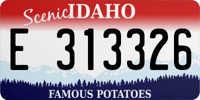 ID license plate E313326
