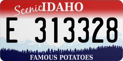 ID license plate E313328