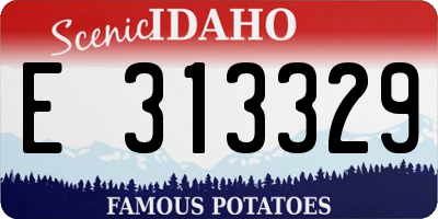 ID license plate E313329