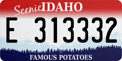 ID license plate E313332