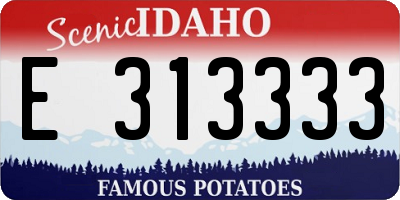 ID license plate E313333