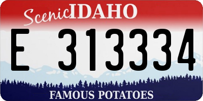 ID license plate E313334