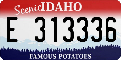 ID license plate E313336