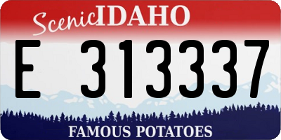 ID license plate E313337