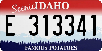 ID license plate E313341
