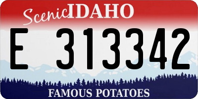 ID license plate E313342