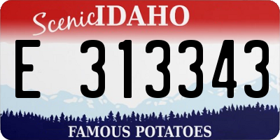 ID license plate E313343