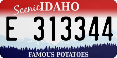 ID license plate E313344