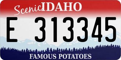 ID license plate E313345