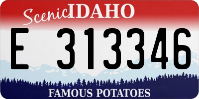 ID license plate E313346