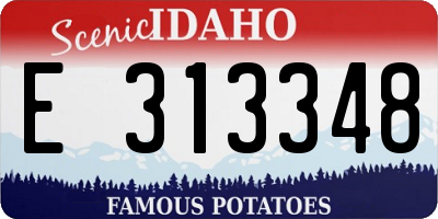 ID license plate E313348