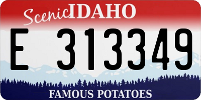 ID license plate E313349
