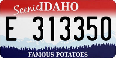 ID license plate E313350