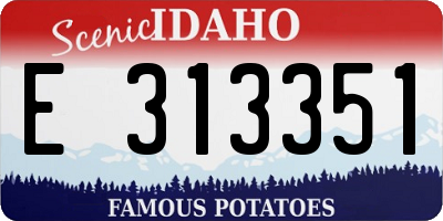 ID license plate E313351