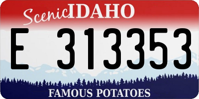ID license plate E313353