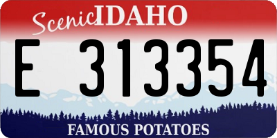 ID license plate E313354