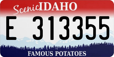 ID license plate E313355