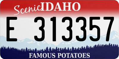 ID license plate E313357