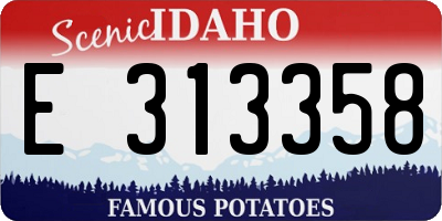 ID license plate E313358