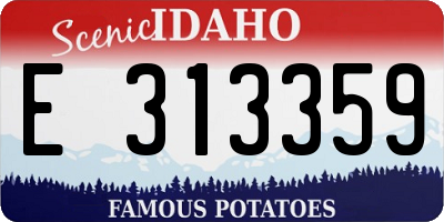 ID license plate E313359
