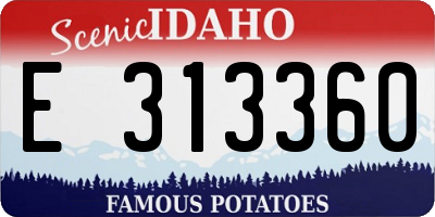 ID license plate E313360