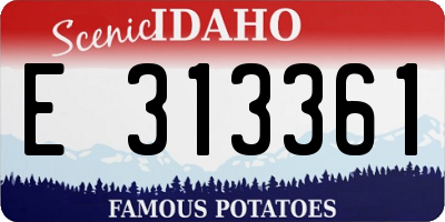 ID license plate E313361