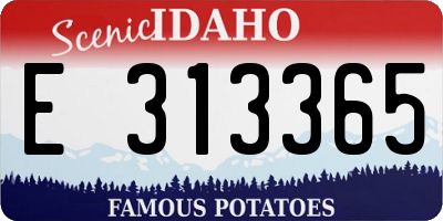 ID license plate E313365
