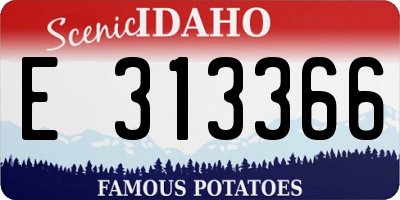 ID license plate E313366