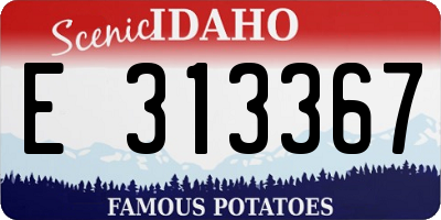 ID license plate E313367