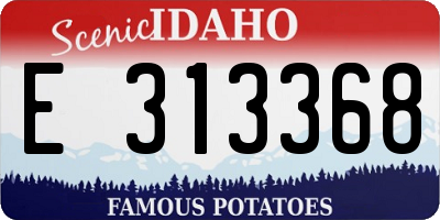 ID license plate E313368