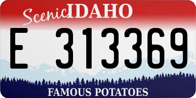 ID license plate E313369