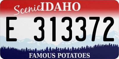 ID license plate E313372