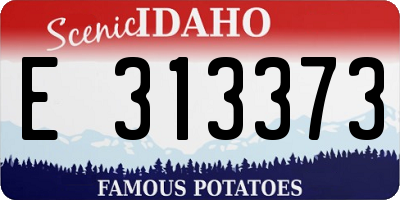 ID license plate E313373