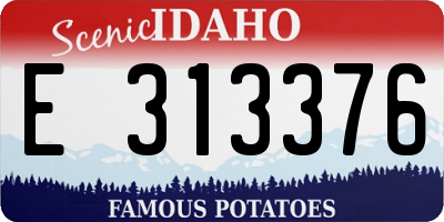 ID license plate E313376