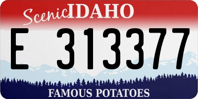ID license plate E313377