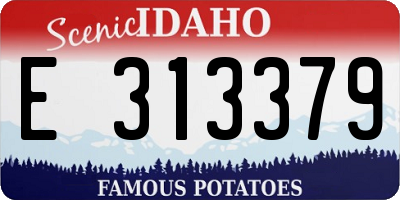 ID license plate E313379