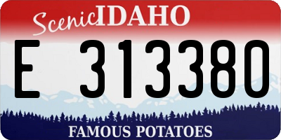 ID license plate E313380