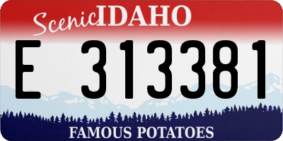 ID license plate E313381