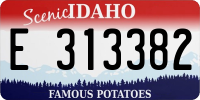 ID license plate E313382